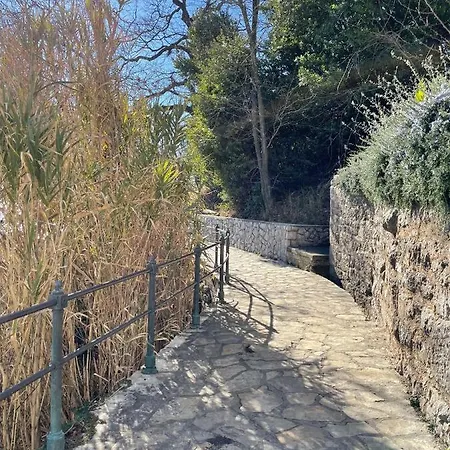 First Row To The Sea أوباتيا